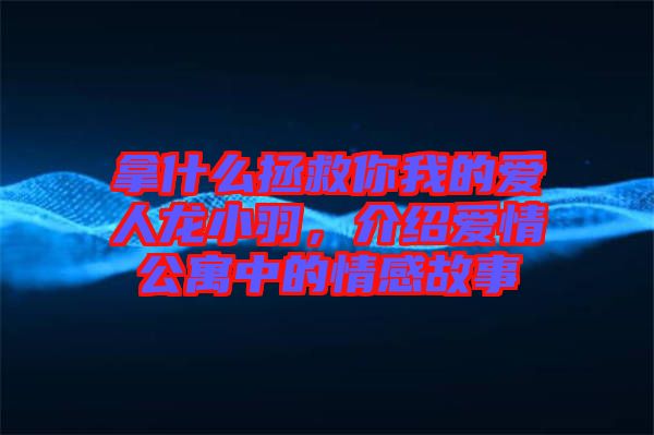 拿什么拯救你我的愛人龍小羽,介紹愛情公寓中的情感故事