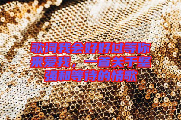 歌詞我會好好過等你來愛我,一首關于堅強和等待的情歌