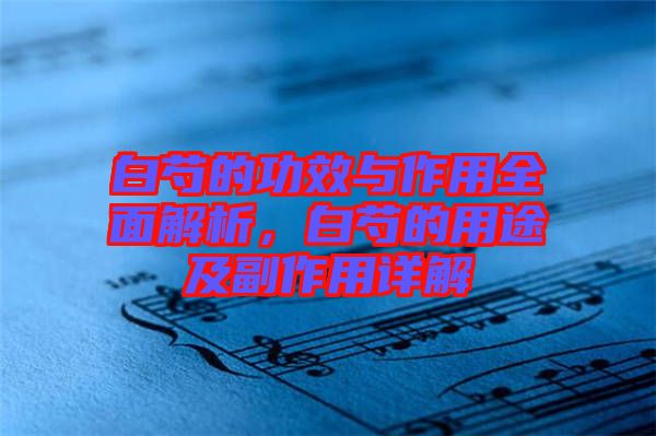 白芍的功效與作用全面解析,白芍的用途及副作用詳解