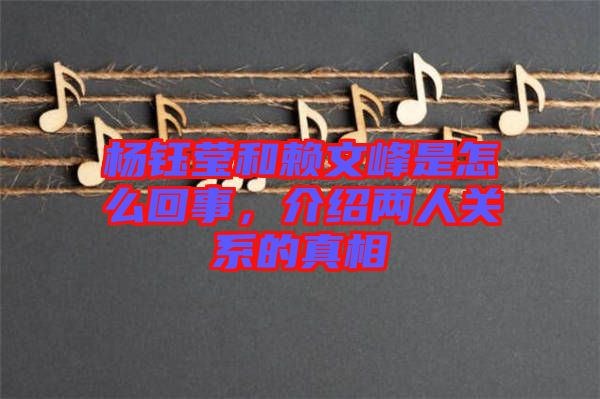 楊鈺瑩和賴文峰是怎么回事，介紹兩人關系的真相