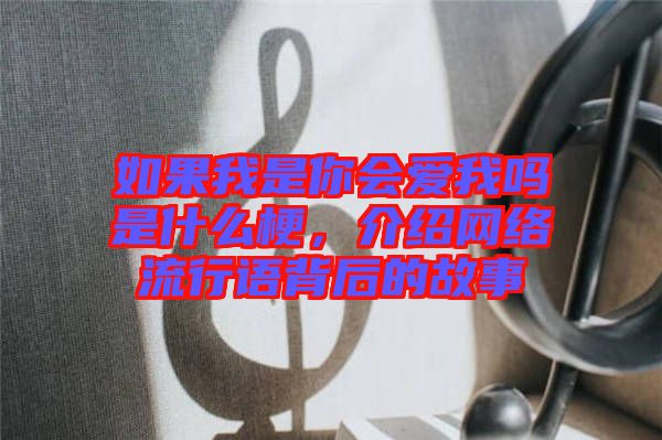 如果我是你會愛我嗎是什么梗,介紹網絡流行語背后的故事
