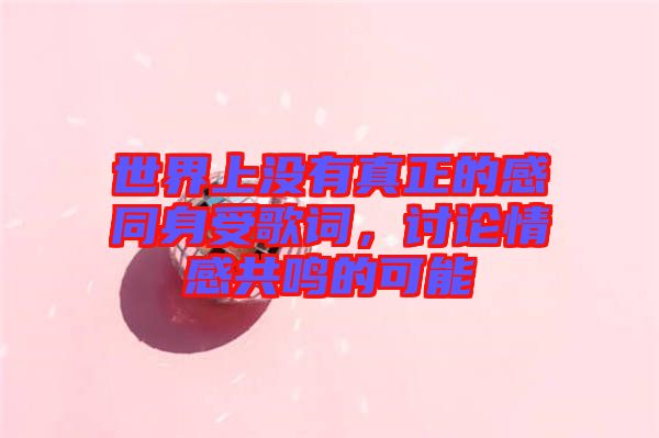 世界上沒(méi)有真正的感同身受歌詞,討論情感共鳴的可能