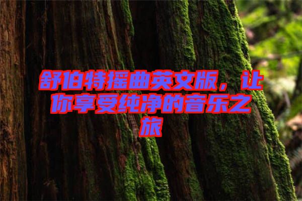 舒伯特?fù)u曲英文版,讓你享受純凈的音樂之旅