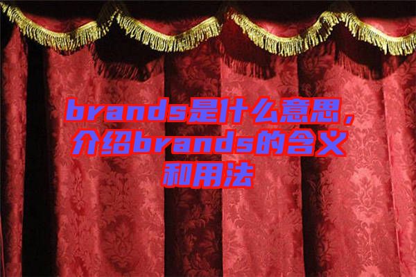 brands是什么意思,介紹brands的含義和用法