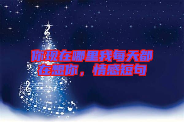 你現在哪里我每天都在想你,情感短句