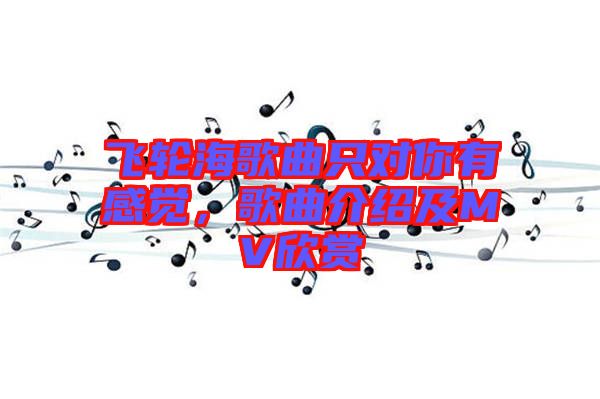 飛輪海歌曲只對你有感覺,歌曲介紹及MV欣賞