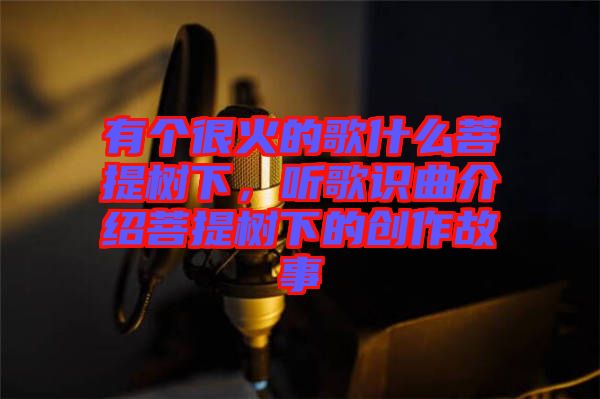 有個很火的歌什么菩提樹下，聽歌識曲介紹菩提樹下的創作故事