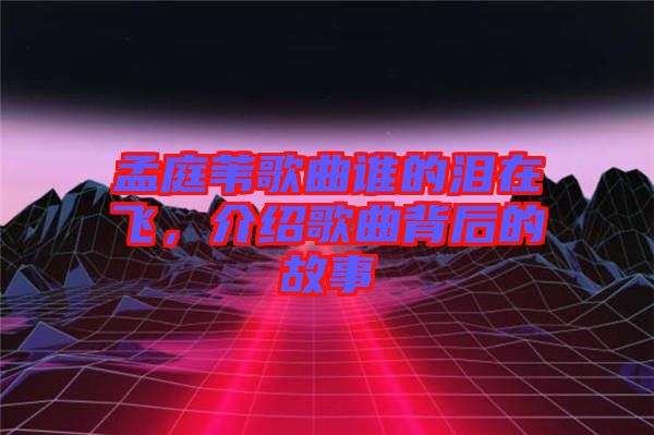 孟庭葦歌曲誰(shuí)的淚在飛,介紹歌曲背后的故事