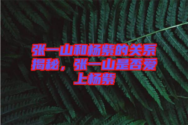 張一山和楊紫的關(guān)系揭秘,張一山是否愛上楊紫
