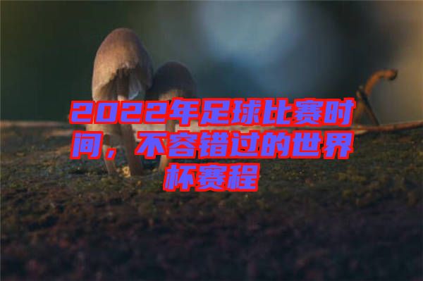 2022年足球比賽時間,不容錯過的世界杯賽程