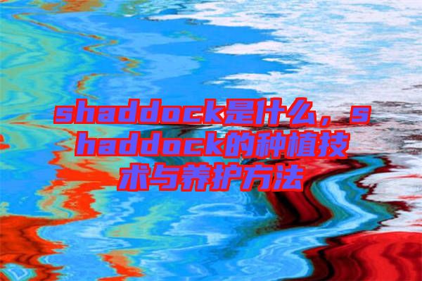 shaddock是什么,shaddock的種植技術與養(yǎng)護方法