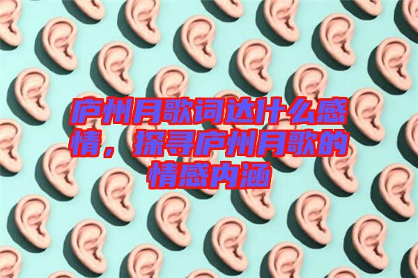 廬州月歌詞達(dá)什么感情,探尋廬州月歌的情感內(nèi)涵