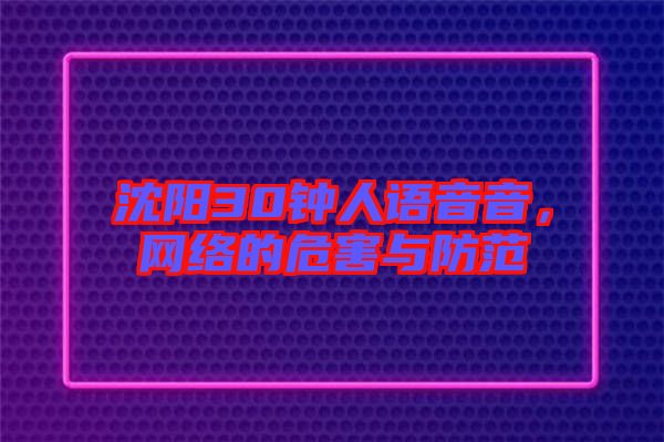 沈陽30鐘人語音音,網(wǎng)絡(luò)的危害與防范