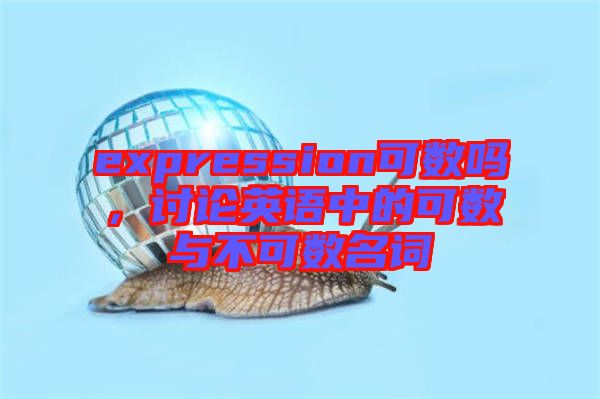 expression可數(shù)嗎,討論英語中的可數(shù)與不可數(shù)名詞