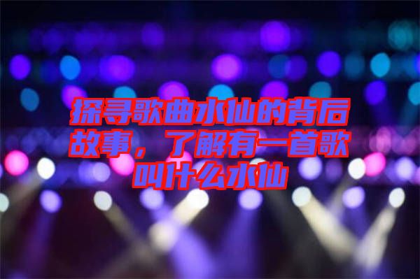 探尋歌曲水仙的背后故事,了解有一首歌叫什么水仙
