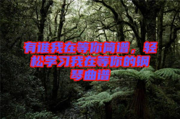 有誰(shuí)我在等你簡(jiǎn)譜,輕松學(xué)習(xí)我在等你的鋼琴曲譜