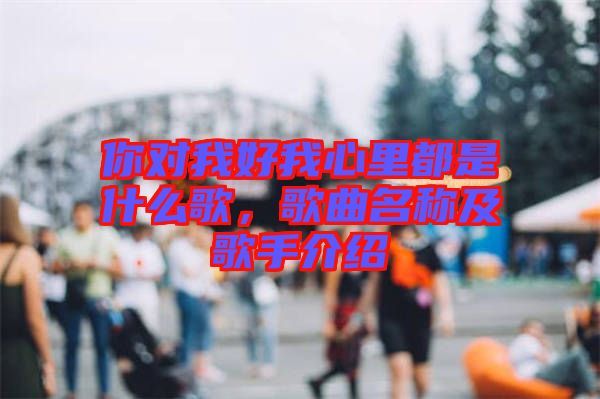 你對我好我心里都是什么歌,歌曲名稱及歌手介紹