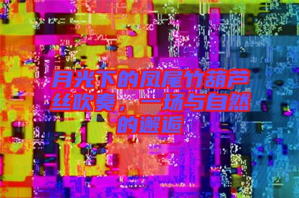 月光下的鳳尾竹葫蘆絲吹奏,一場與自然的邂逅