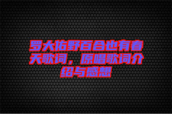 羅大佑野百合也有春天歌詞,原唱歌詞介紹與感想