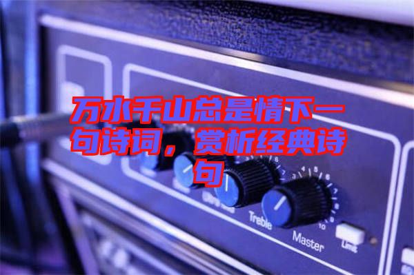 萬(wàn)水千山總是情下一句詩(shī)詞,賞析經(jīng)典詩(shī)句