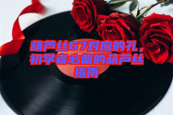 葫蘆絲67對應(yīng)的孔,初學(xué)者必備的葫蘆絲指南