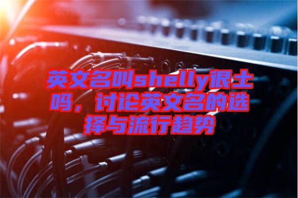 英文名叫shelly很土嗎,討論英文名的選擇與流行趨勢(shì)
