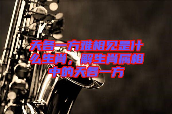 天各一方難相見是什么生肖,解生肖屬相中的天各一方