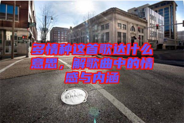 多情種這首歌達什么意思,解歌曲中的情感與內涵