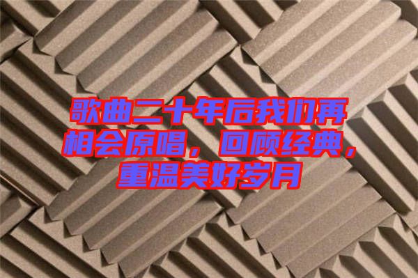 歌曲二十年后我們再相會原唱,回顧經(jīng)典,重溫美好歲月