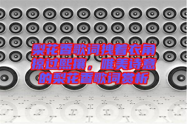梨花香歌詞拽著衣角掠過熙攘,唯美詩意的梨花香歌詞賞析