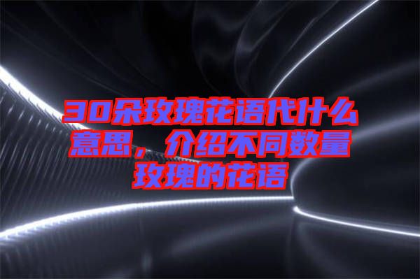 30朵玫瑰花語(yǔ)代什么意思,介紹不同數(shù)量玫瑰的花語(yǔ)