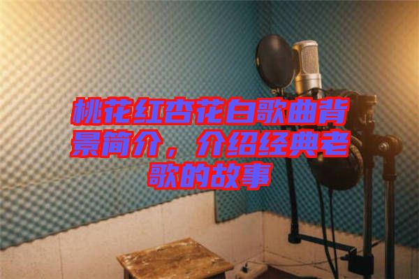 桃花紅杏花白歌曲背景簡介,介紹經典老歌的故事