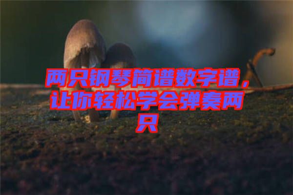 兩只鋼琴簡(jiǎn)譜數(shù)字譜,讓你輕松學(xué)會(huì)彈奏兩只