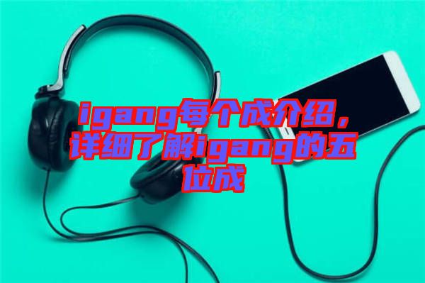 igang每個(gè)成介紹，詳細(xì)了解igang的五位成
