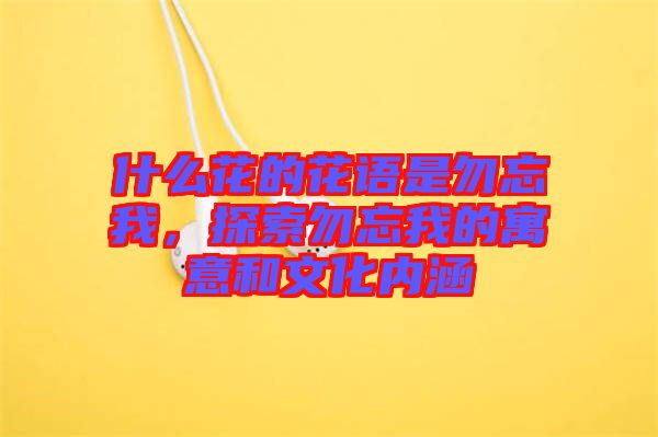 什么花的花語是勿忘我,探索勿忘我的寓意和文化內(nèi)涵