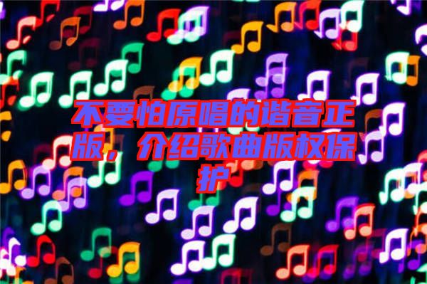 不要怕原唱的諧音正版，介紹歌曲版權(quán)保護(hù)
