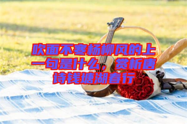 吹面不寒楊柳風(fēng)的上一句是什么,賞析唐詩錢塘湖春行