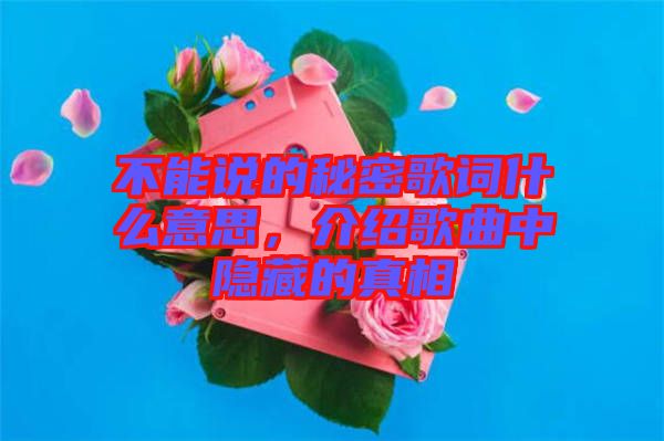 不能說的秘密歌詞什么意思,介紹歌曲中隱藏的真相