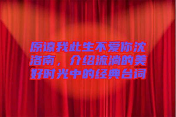 原諒我此生不愛你沈洛南,介紹流淌的美好時光中的經典臺詞