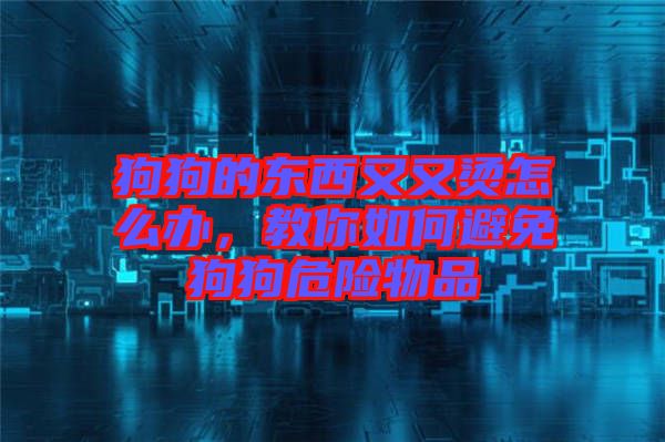 狗狗的東西又又燙怎么辦,教你如何避免狗狗危險物品