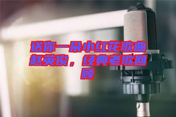 送你一朵小紅花歌曲趙英俊,經(jīng)典老歌回顧