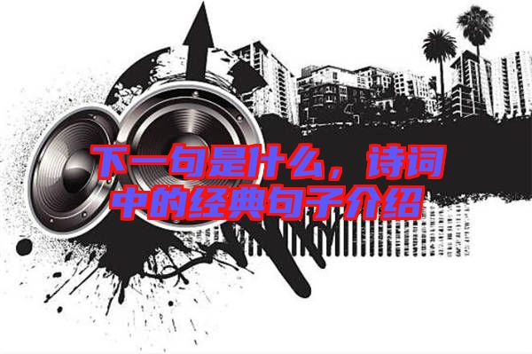 下一句是什么,詩(shī)詞中的經(jīng)典句子介紹