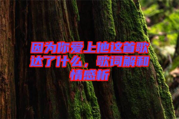 因?yàn)槟銗凵纤@首歌達(dá)了什么，歌詞解和情感析