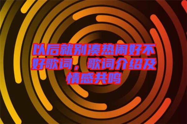 以后就別湊熱鬧好不好歌詞,歌詞介紹及情感共鳴