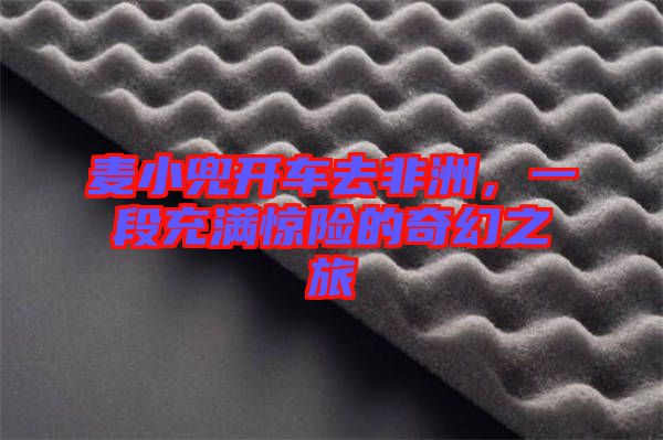 麥小兜開車去非洲，一段充滿驚險的奇幻之旅