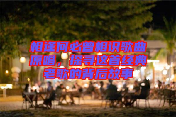 相逢何必曾相識歌曲原唱,探尋這首經(jīng)典老歌的背后故事