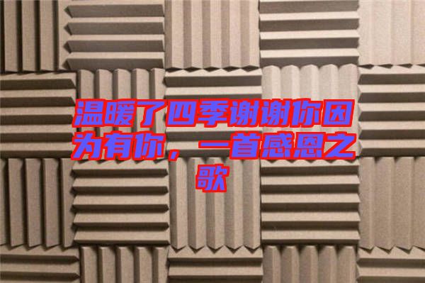 溫暖了四季謝謝你因?yàn)橛心?，一首感恩之? width=