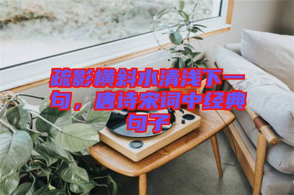 疏影橫斜水清淺下一句,唐詩宋詞中經典句子