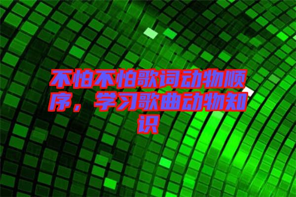 不怕不怕歌詞動(dòng)物順序,學(xué)習(xí)歌曲動(dòng)物知識(shí)