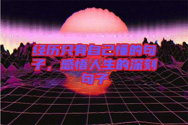 經歷只有自己懂的句子,感悟人生的深刻句子